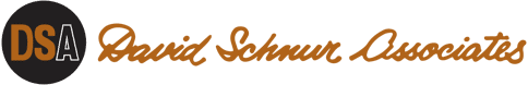 David Schnur Associates